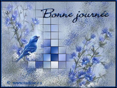 Bonjour  mes amis/ies